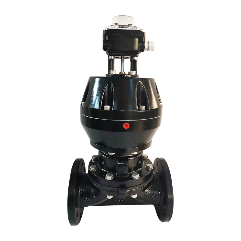 Pneumatic Flanged Diaphragm Valve